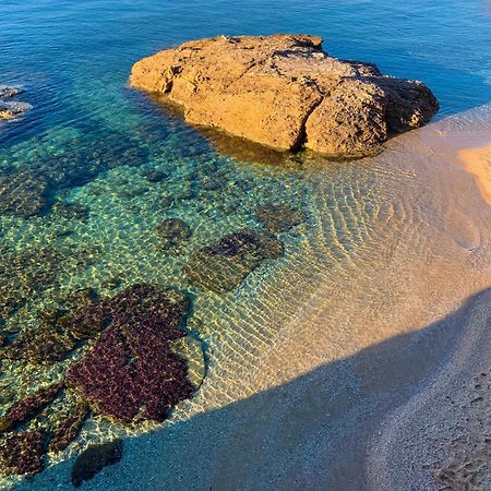T2 Avec Terrasse & Parking A 5 Min Du Centre, 10 Min Des Plages Hyères Eksteriør billede