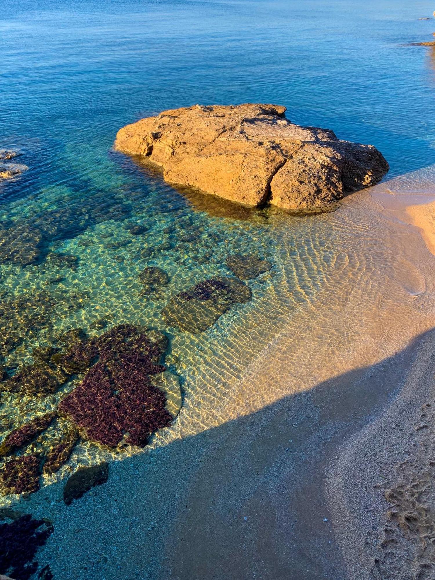 T2 Avec Terrasse & Parking A 5 Min Du Centre, 10 Min Des Plages Hyères Eksteriør billede